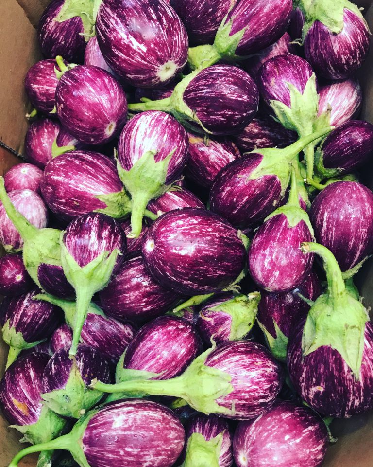 thai eggplant - The Produce Wholesaler